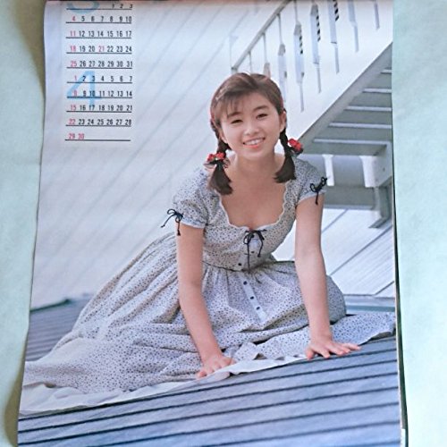Amazon.co.jp: アイドルカレンダー 酒井法子 1990 : 文房具・オフィス用品